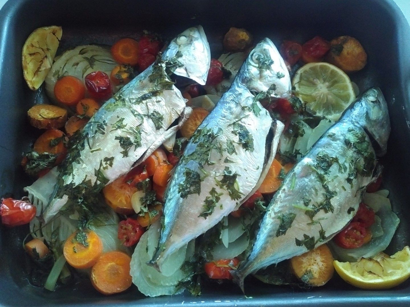 Mackerel on a bed of Fennel and Tomatoes
