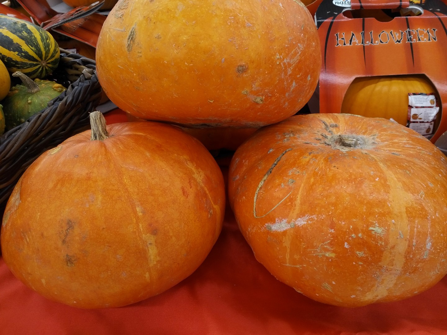 It’s pumpkin season! – Where health and tradition go hand in hand