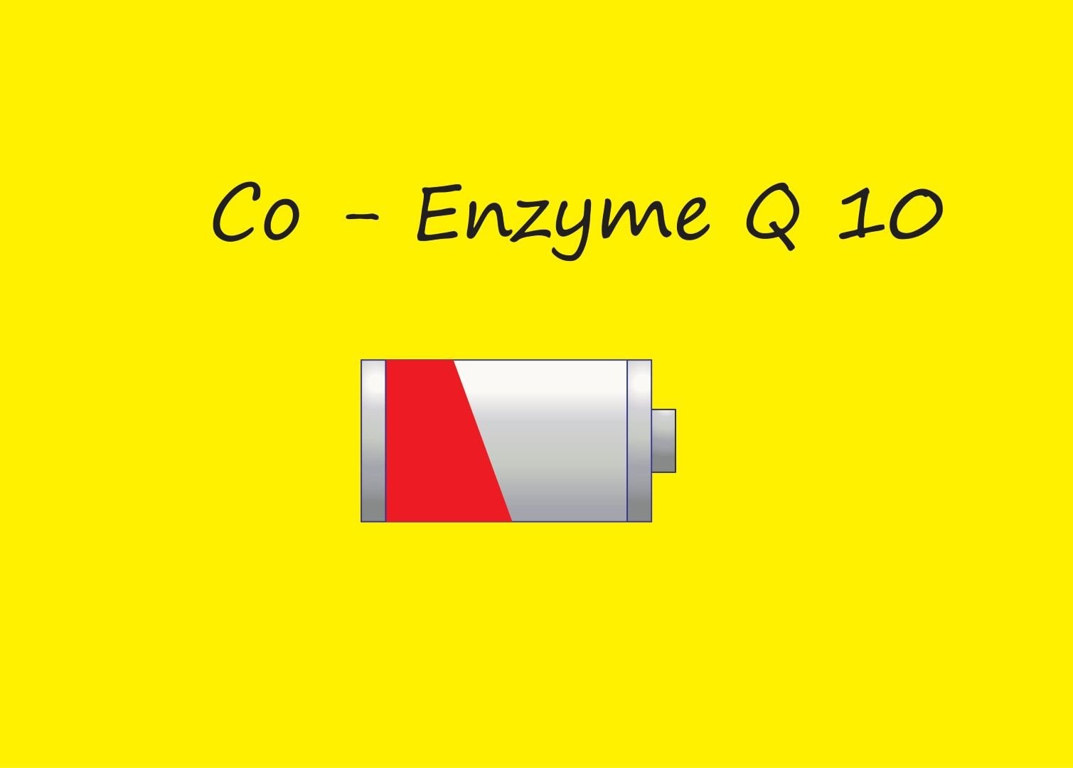 Suffering from fatigue? – Check your Co-enzyme Q10 levels!